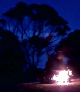 This firey sculpture was framed by trees and the night sky